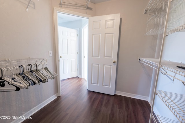 spacious closet featuring dark wood-style floors