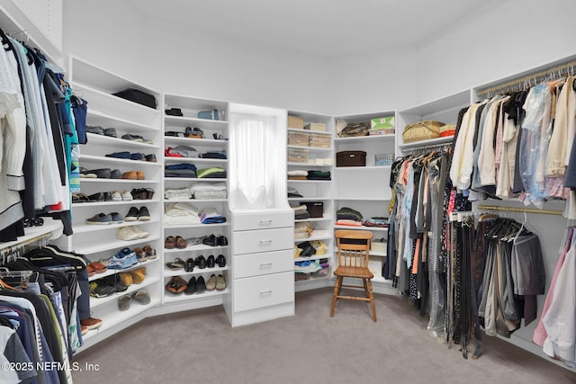 spacious closet with carpet