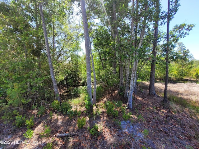 2155 State Road 40, Deleon Springs, FL 32130