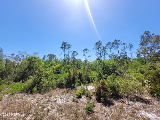2155 State Road 40, Deleon Springs, FL 32130