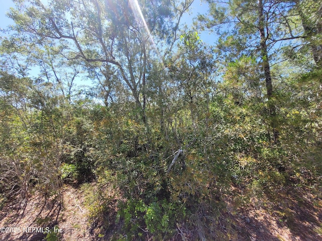 2155 State Road 40, Deleon Springs, FL 32130