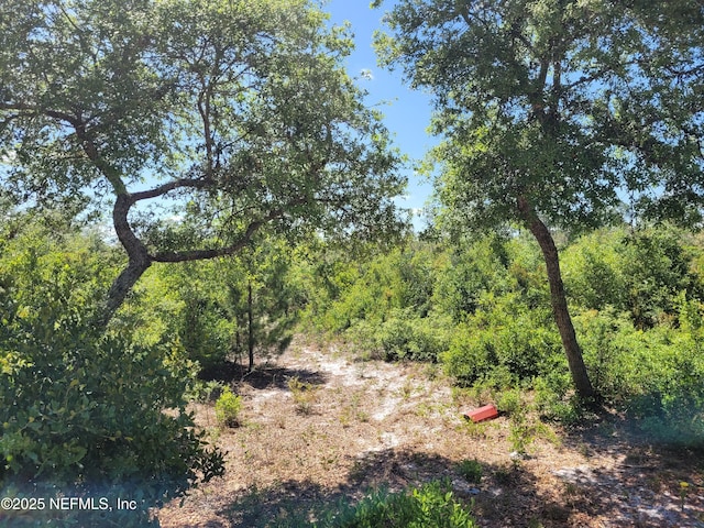 2155 State Road 40, Deleon Springs, FL 32130