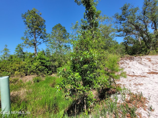 2155 State Road 40, Deleon Springs, FL 32130
