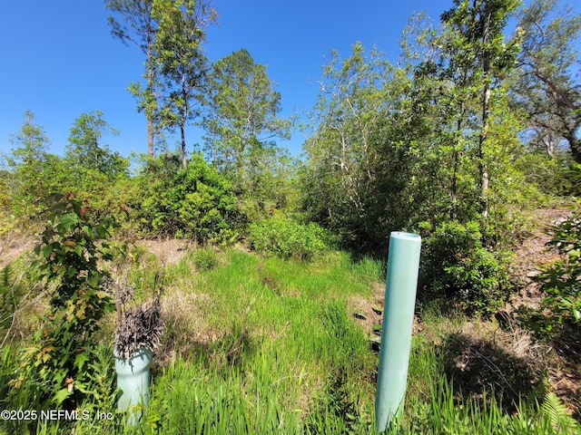 2155 State Road 40, Deleon Springs, FL 32130