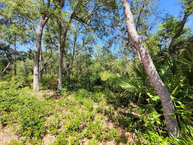 2155 State Road 40, Deleon Springs, FL 32130