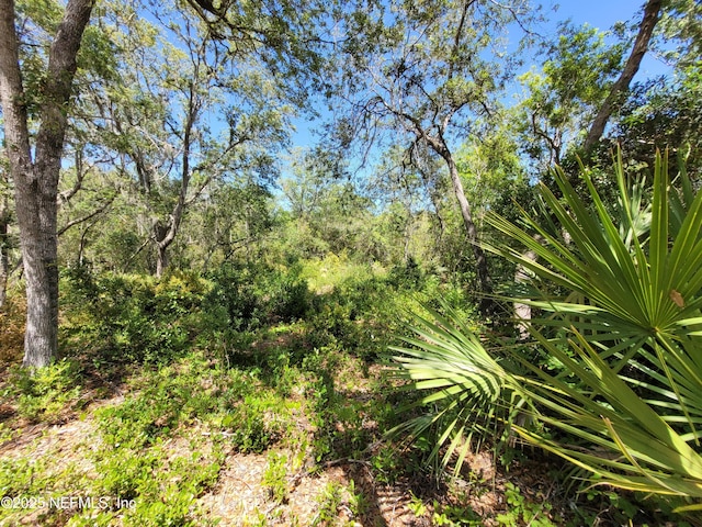 2155 State Road 40, Deleon Springs, FL 32130