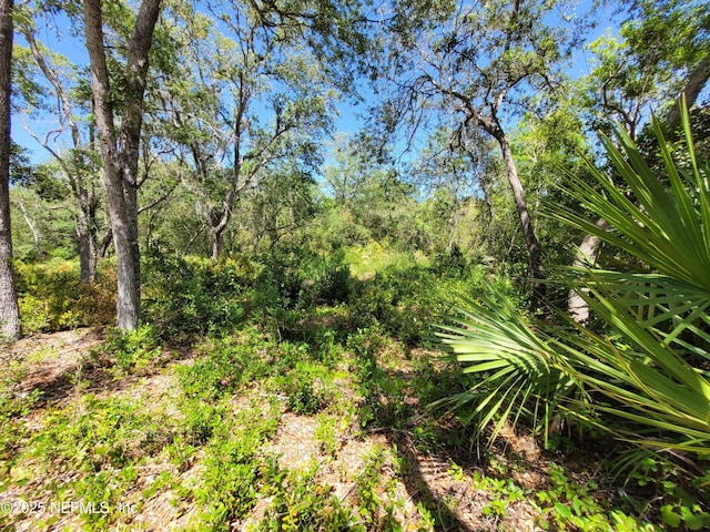 2155 State Road 40, Deleon Springs, FL 32130