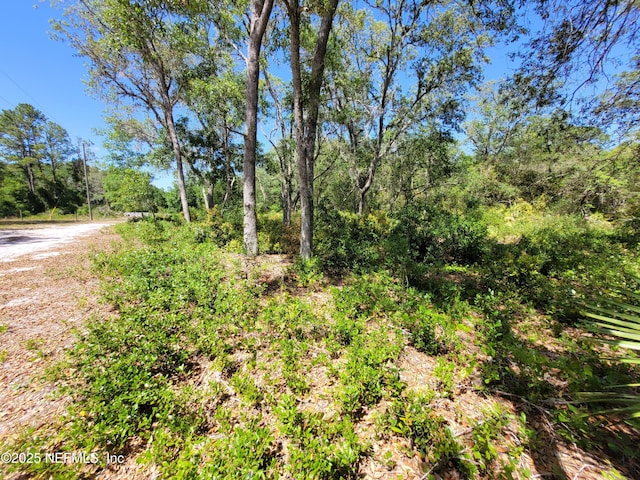 2155 State Road 40, Deleon Springs, FL 32130