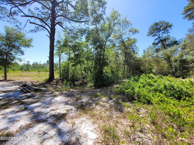 2155 State Road 40, Deleon Springs, FL 32130