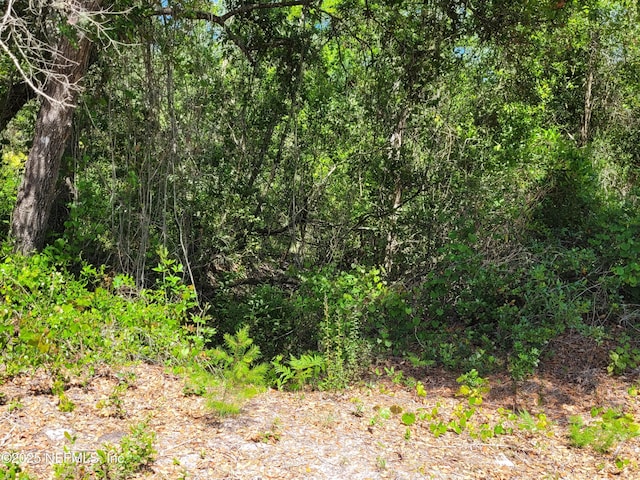 2155 State Road 40, Deleon Springs, FL 32130