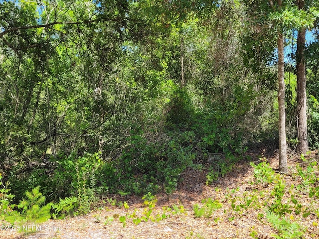 2155 State Road 40, Deleon Springs, FL 32130