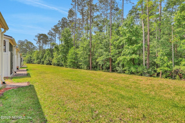 181 Richmond Dr, Saint Johns, FL 32259 - photo 37
