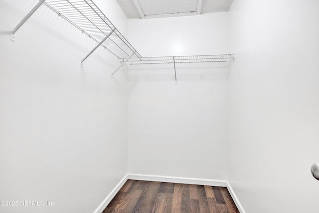 walk in closet featuring dark wood-style flooring