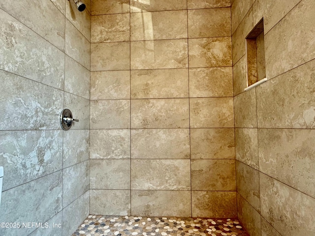 12359 Silent Brook Trl N, Jacksonville, FL 32225 - full bath with tiled shower