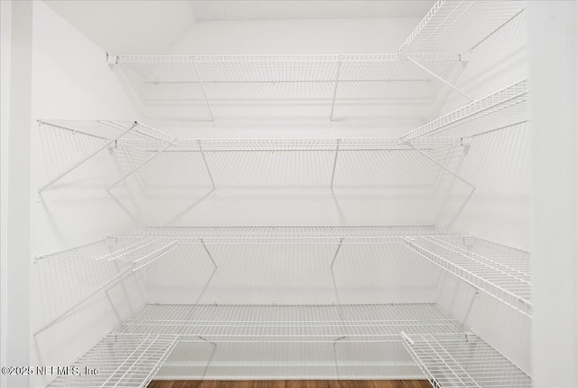 walk in closet featuring wood finished floors