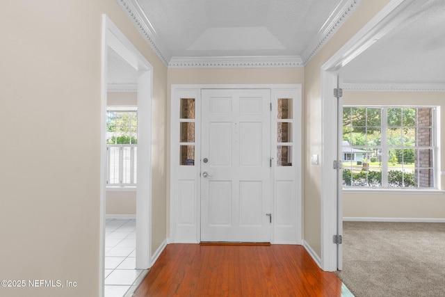 1218 Shallowford Dr E, Jacksonville, FL 32225 - entryway featuring baseboards, a raised ceiling, and wood finished floors