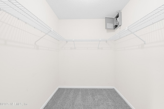 1218 Shallowford Dr E, Jacksonville, FL 32225 - spacious closet with carpet flooring