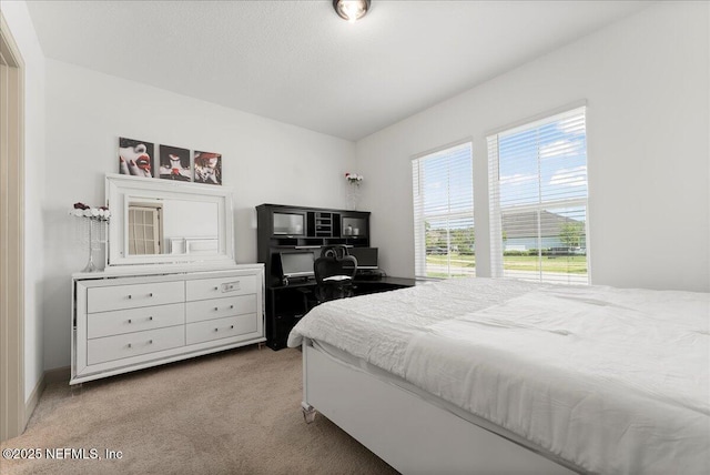 982 Oakland Hills Ave, Middleburg, FL 32068 - bedroom featuring light colored carpet