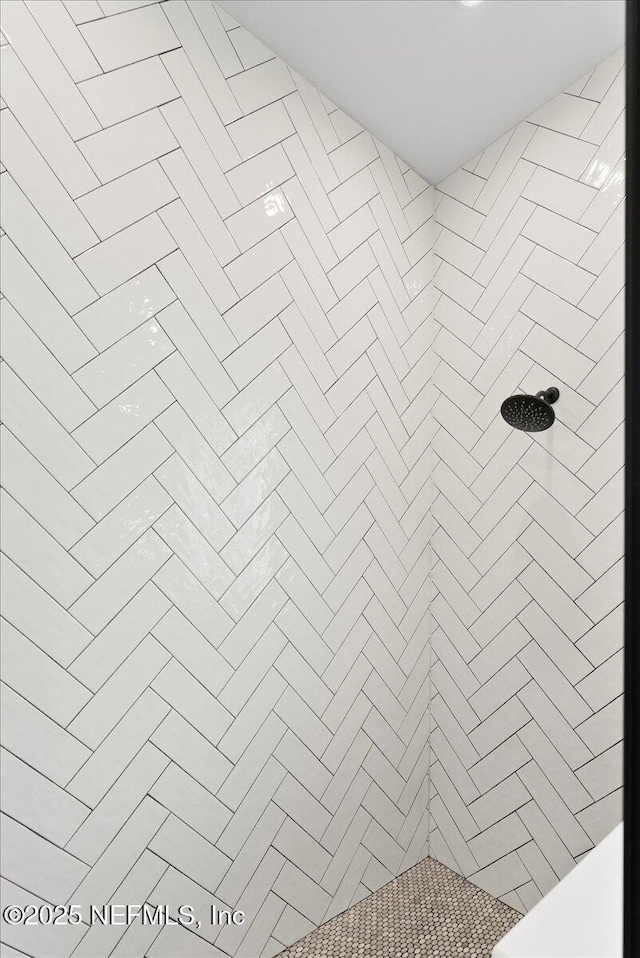 982 Oakland Hills Ave, Middleburg, FL 32068 - interior space featuring a tile shower