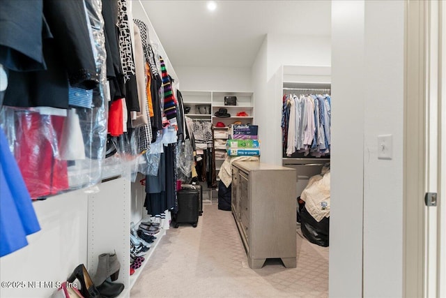 982 Oakland Hills Ave, Middleburg, FL 32068 - walk in closet with carpet floors