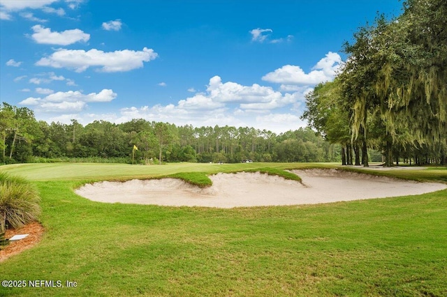 982 Oakland Hills Ave, Middleburg, FL 32068 - view of home's community with view of golf course and a yard