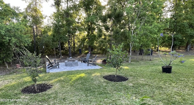 view of yard featuring a fire pit and a patio area