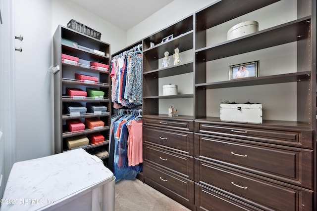 walk in closet featuring carpet flooring