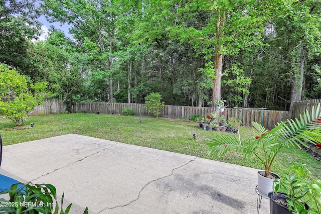1558 Roseberry Ct, Fleming Island, FL 32003 - view of patio / terrace with a fenced backyard