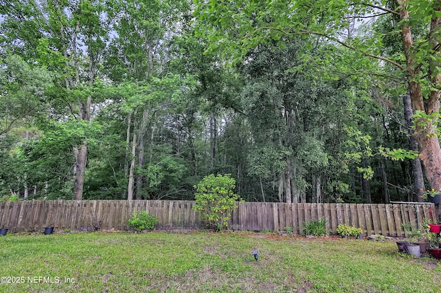 1558 Roseberry Ct, Fleming Island, FL 32003 - view of yard with fence