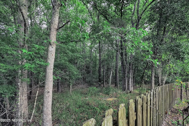 1558 Roseberry Ct, Fleming Island, FL 32003 - view of nature featuring a forest view