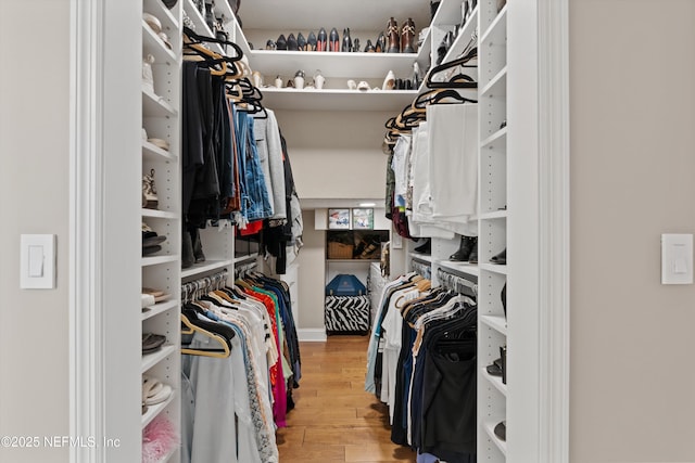 1576 Linkside Dr, Fleming Island, FL 32003 - spacious closet with light wood finished floors
