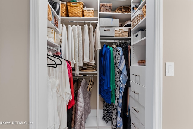 1576 Linkside Dr, Fleming Island, FL 32003 - view of walk in closet