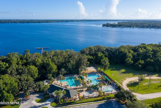 1576 Linkside Dr, Fleming Island, FL 32003 - bird's eye view of a pool and a nearby body of water