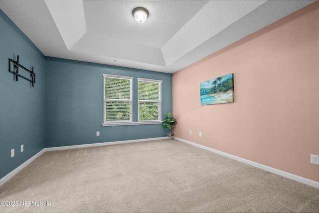 133 San Briso Way, Saint Augustine, FL 32092 - empty room with carpet, a raised ceiling, and a textured ceiling