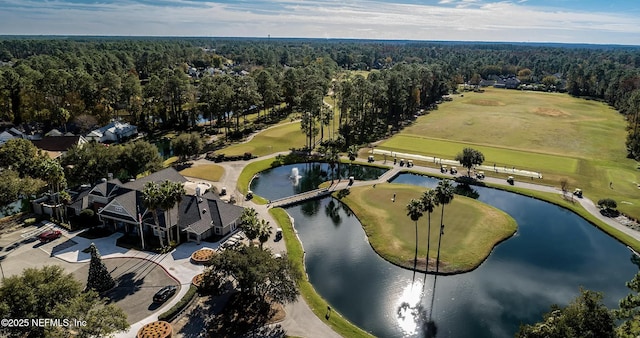 2427 Green Glade Ct, Fleming Island, FL 32003 - bird's eye view of a large body of water, a heavily wooded area, and a local golf course