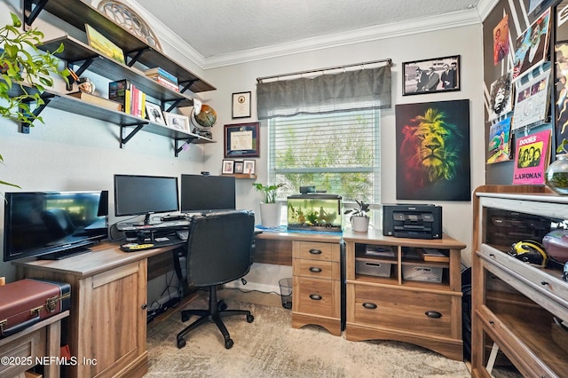 home office featuring a textured ceiling and ornamental molding