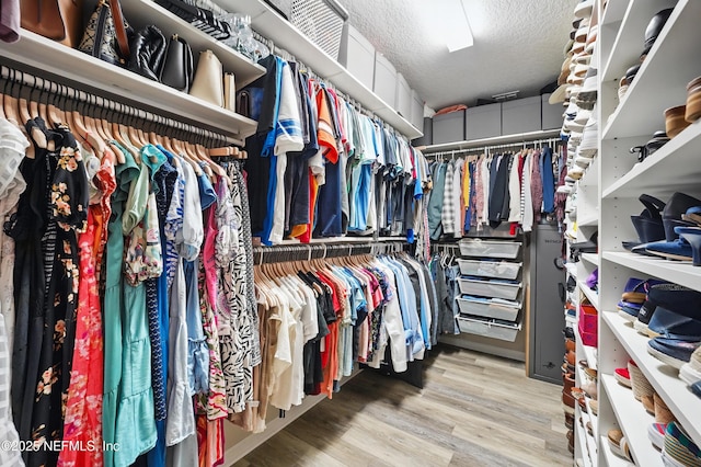 spacious closet featuring wood finished floors