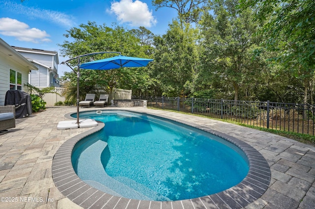 view of pool featuring a patio, a fenced backyard, and a fenced in pool