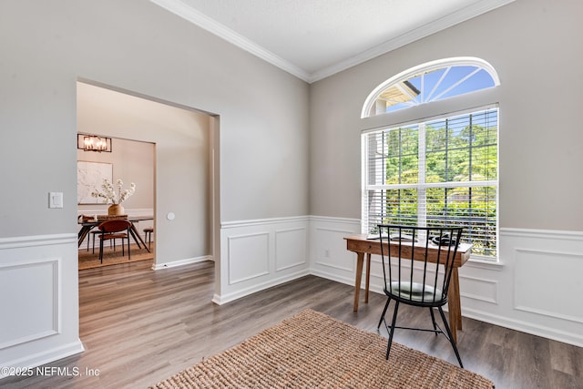 office space featuring crown molding, wainscoting, plenty of natural light, and wood finished floors