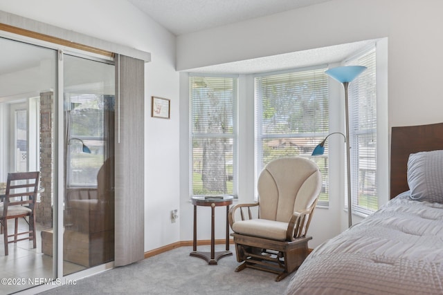 carpeted bedroom with baseboards and multiple windows