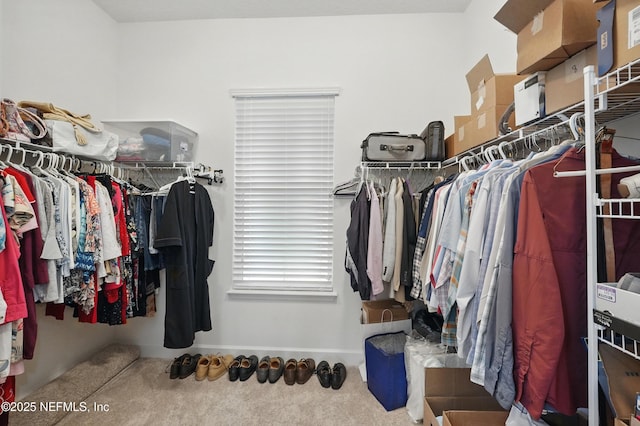 spacious closet with carpet flooring