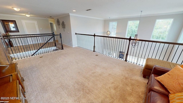 15717 Basil Creek Ct, Jacksonville, FL 32218 - carpeted spare room featuring crown molding and baseboards