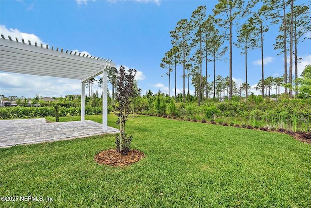 view of yard featuring a pergola and a patio area