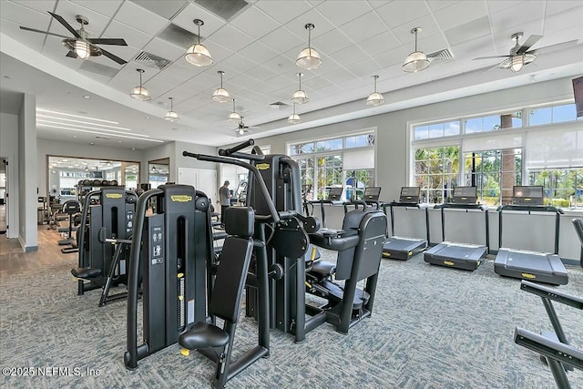 workout area with visible vents, a ceiling fan, carpet floors, and a paneled ceiling
