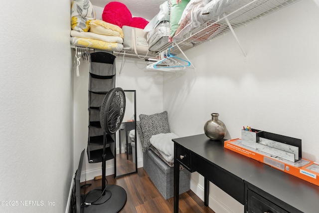 spacious closet featuring dark wood-type flooring