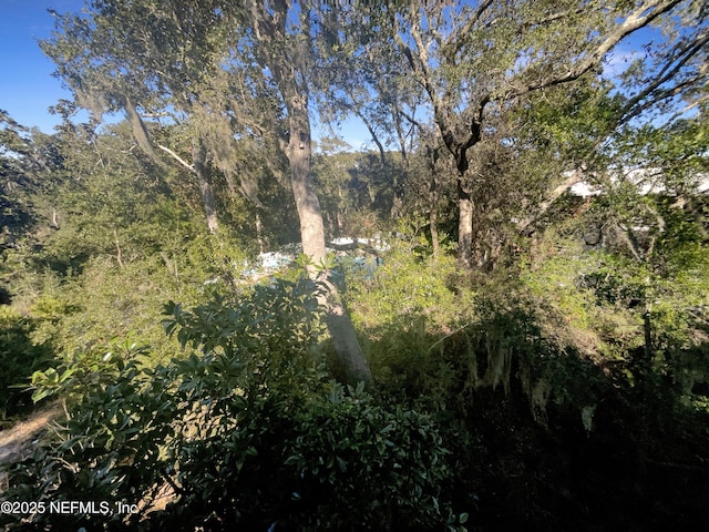 view of local wilderness with a forest view