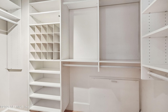 view of spacious closet