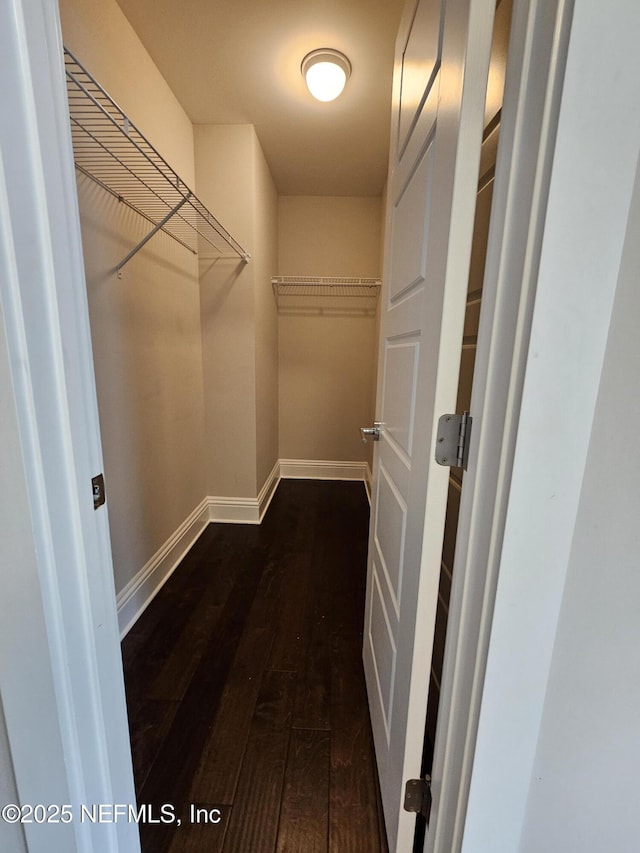 walk in closet featuring dark wood finished floors