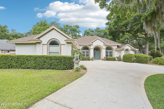 view of front of house featuring stucco siding, a front lawn, curved driveway, and a shingled roof