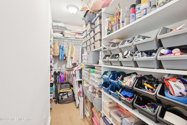 spacious closet with wood finished floors